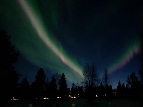 Seeing Steve – Observing the new Aurora phenomenon